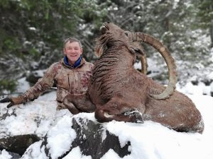 Kasachstan Tastau Steinbock