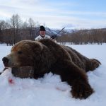 Kamchatka Browm Bear