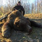 Kamchatka Brown Bear