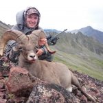 Central Kamchatka Sheep