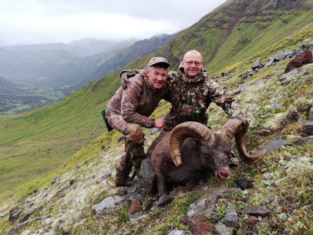 Kamchatka Snow Sheep 2019